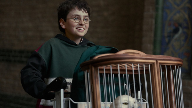 Dominic McLaughlin jako Harry Potter v první řadě seriálu o malém čaroději.