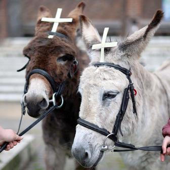 „Bůh nevyslyší vaše modlitby!“ Papežova tvrdá slova zahájila Svatý týden