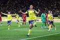 FIFA World Cup - UEFA Qualifiers - Finals - Sweden v Poland