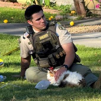 Hasičům v karlifornském Jurupa Valley se totiž podařilo zachránit čtyři kočky, které po nervy drásající resuscitaci přivedli zpět k životu.