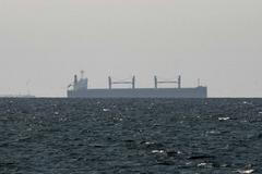 FILE PHOTO: FILE PHOTO: A cargo ship in the Gulf, near the Strait of Hormuz