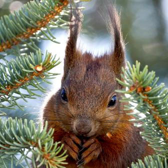 Škoda tyhle fotky minout: jízda na oslu, největší svátky nebo oranžový ostrov 