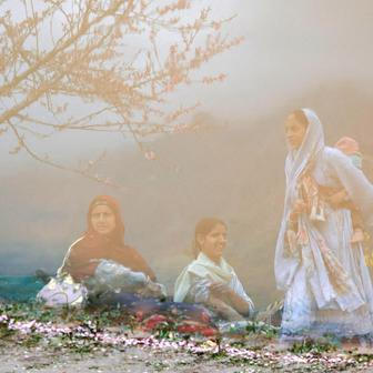 Škoda tyhle fotky minout: jízda na oslu, největší svátky nebo oranžový ostrov 