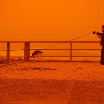 Škoda tyhle fotky minout: jízda na oslu, největší svátky nebo oranžový ostrov 