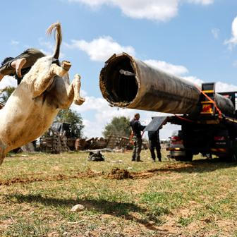 Škoda tyhle fotky minout: jízda na oslu, největší svátky nebo oranžový ostrov 
