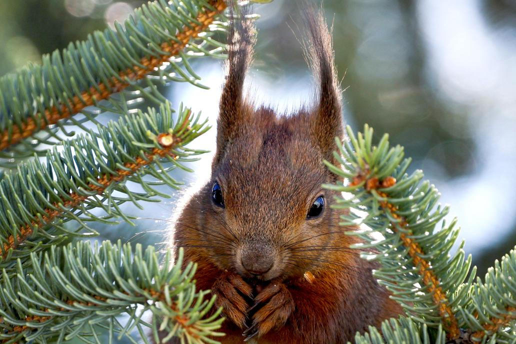 Škoda tyhle fotky minout: jízda na oslu, největší svátky nebo oranžový ostrov 