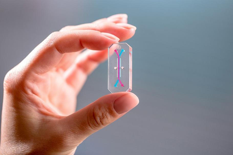 organ chip emulat