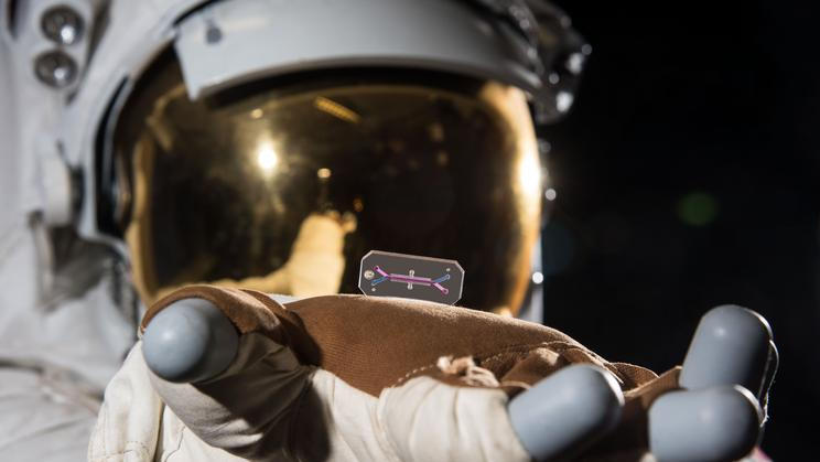 V čipech velkých jako flash disk si vezou vlastní buňky, na nichž vědci sledují, jak na lidské tělo působí prostředí hlubokého vesmíru.