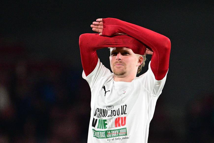 Šulc bude pro mistrovství světa v pořádku, uklidňuje fanoušky trenér Koubek