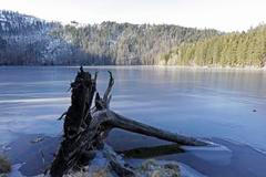 V noci na čtvrtek mrzlo podle meteorologů téměř v celých jižních Čechách. Na ilustračním snímku je šumavské Černé jezero nacházející se ve výšce 1008 metrů nad mořem.