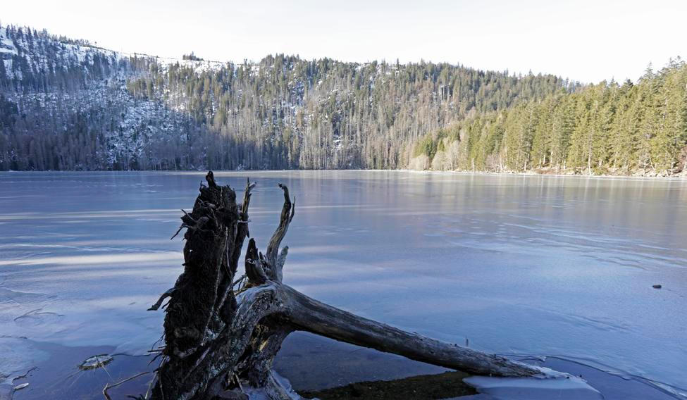 V noci na čtvrtek mrzlo podle meteorologů téměř v celých jižních Čechách. Na ilustračním snímku je šumavské Černé jezero nacházející se ve výšce 1008 metrů nad mořem.