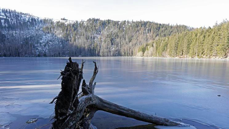 V noci na čtvrtek mrzlo podle meteorologů téměř v celých jižních Čechách. Na ilustračním snímku je šumavské Černé jezero nacházející se ve výšce 1008 metrů nad mořem.