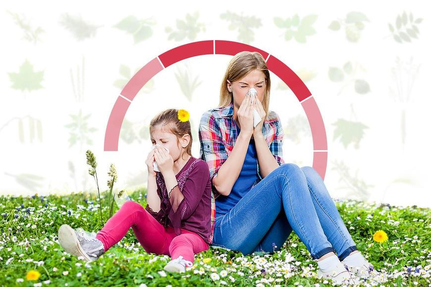 Pylová sezona propukla naplno. Kalendář ukazuje, kdy čekají alergiky nejhorší dny