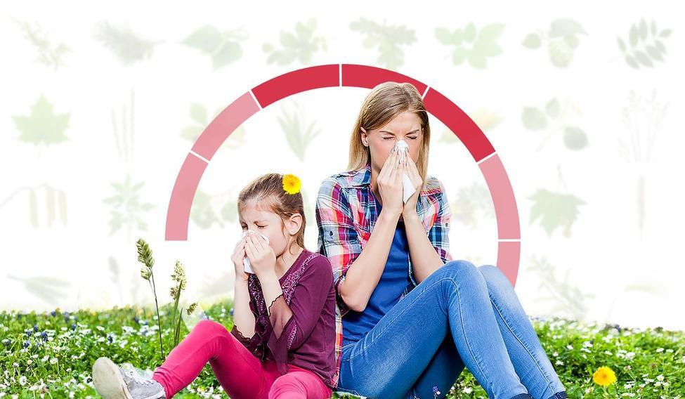 Alergie. Ilustrační foto.