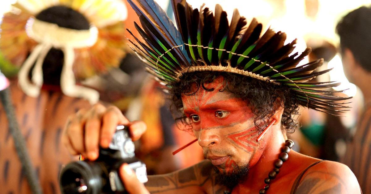 Škoda tyhle fotky minout: Knokaut, prezidentský zajíček nebo kočka ve škvíře