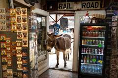  Sto let na silnici: Legendární Route 66 slaví jubileum