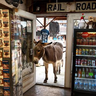  Sto let na silnici: Legendární Route 66 slaví jubileum