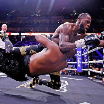  Škoda tyhle fotky minout: Knockout, prezidentský zajíček nebo kočka ve škvíře