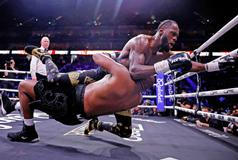  Škoda tyhle fotky minout: Knockout, prezidentský zajíček nebo kočka ve škvíře