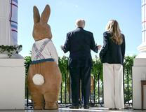  Škoda tyhle fotky minout: Knockout, prezidentský zajíček nebo kočka ve škvíře