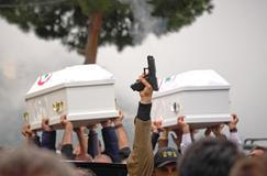  Škoda tyhle fotky minout: Knockout, prezidentský zajíček nebo kočka ve škvíře