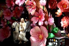  Škoda tyhle fotky minout: Knockout, prezidentský zajíček nebo kočka ve škvíře