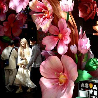  Škoda tyhle fotky minout: Knockout, prezidentský zajíček nebo kočka ve škvíře