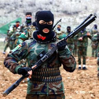  Škoda tyhle fotky minout: Knockout, prezidentský zajíček nebo kočka ve škvíře