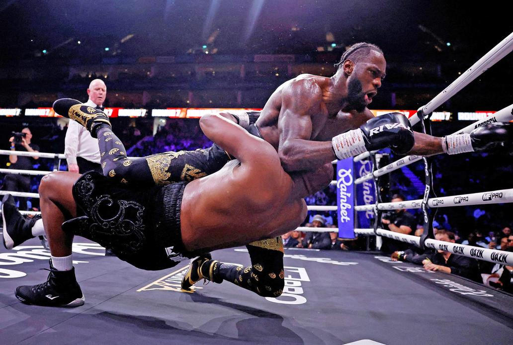  Škoda tyhle fotky minout: Knockout, prezidentský zajíček nebo kočka ve škvíře