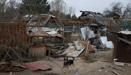 Aftermath of a Russian missile attack in Korosten