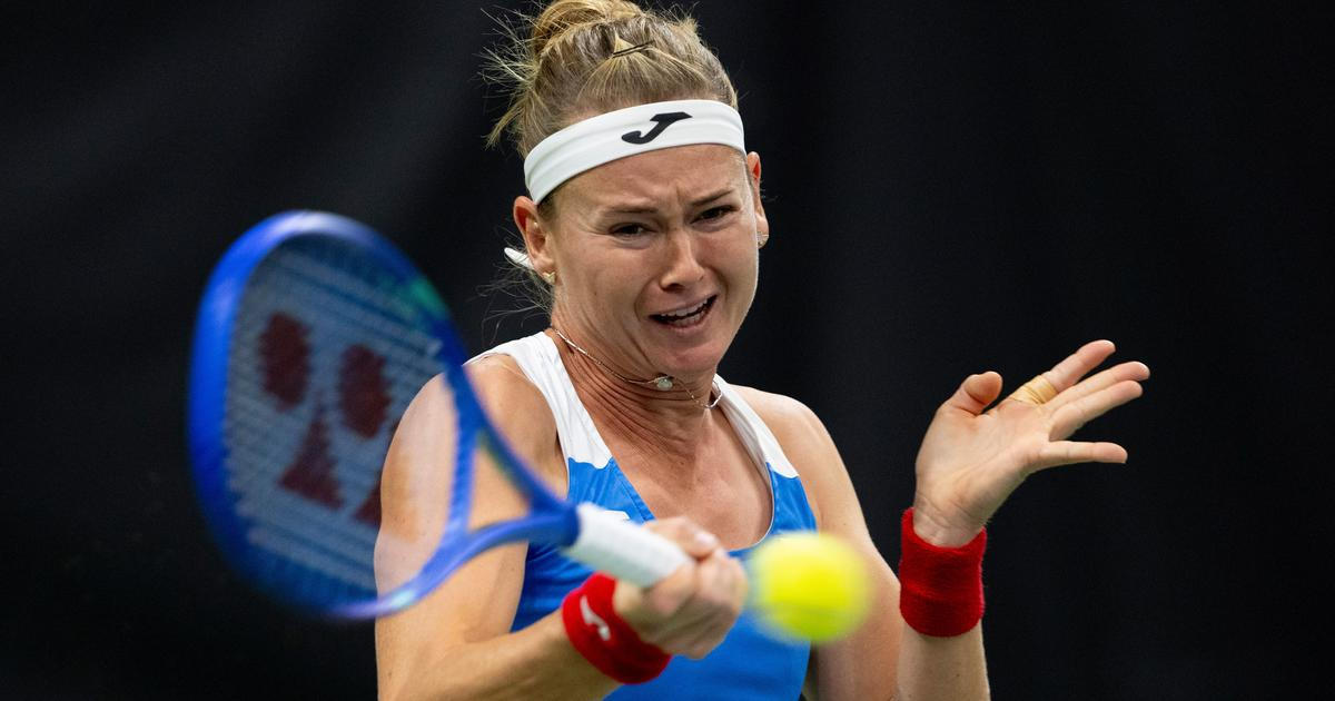 Bouzková bojovala, ale po velké bitvě padla. Češky v kvalifikaci BJK Cupu prohrávají 0:1