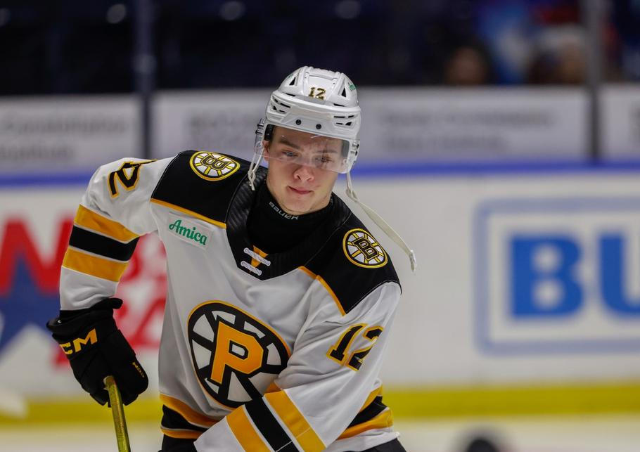 AHL: APR 04 Providence Bruins at Rochester Americans