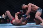 MMA: UFC 327- Prochazka vs Ulberg