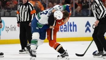 Canucks Ducks Hockey