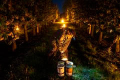 Zahřívání sadů, mrazy