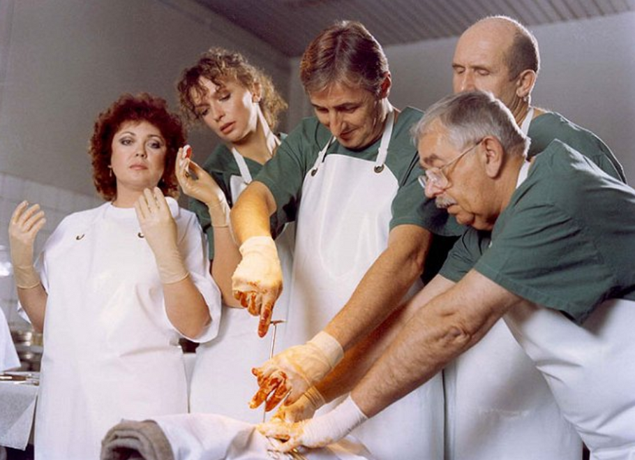 Naďa Konvalinková, Ivana Chýlková, Karel Heřmánek, Petr Nárožný a Vlastimil Brodský v seriálu O zvířatech a lidech (1994).
