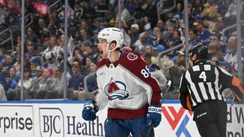 Avalanche Blues Hockey