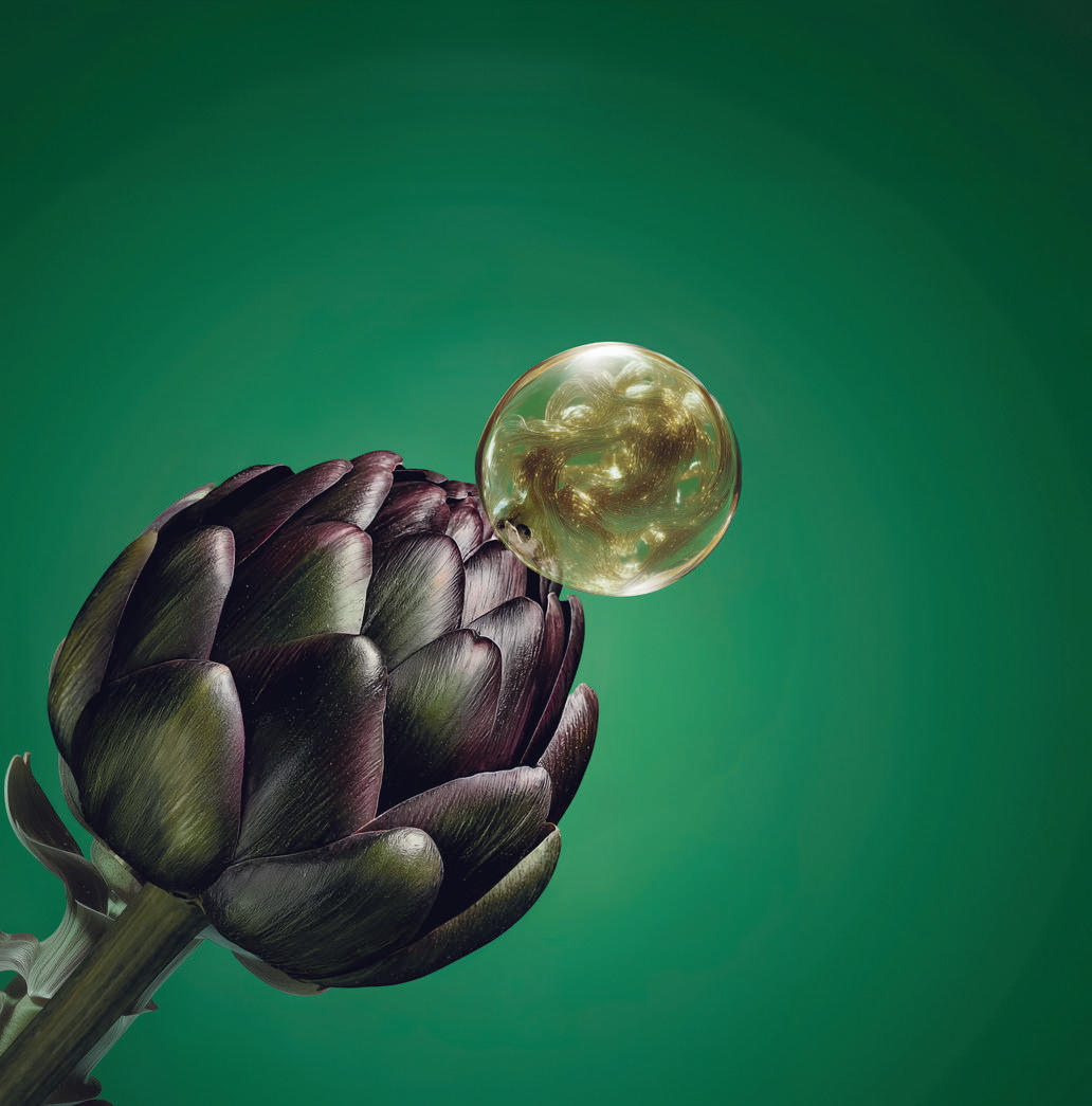 Sílu z artyčoku použili dermo-botanici z Yves Rocher do vlasové kosmetiky. Yves Rocher
