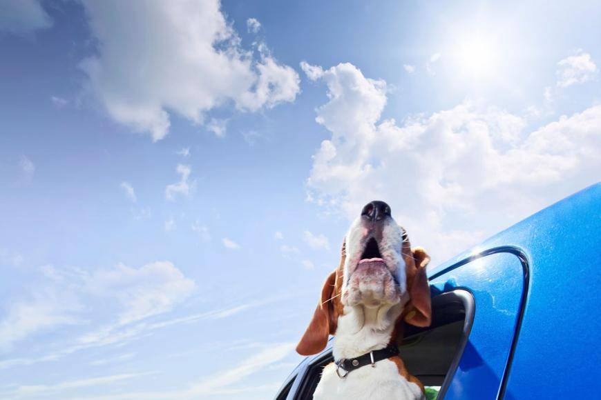 Nejprve slunce, pak znovu ochlazení. V Česku bude pokračovat aprílové počasí