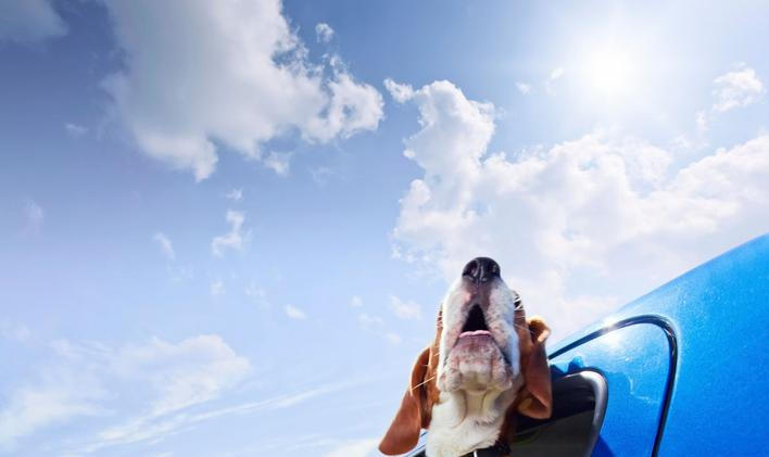 Slunečno a teploty přes 20 stupňů. Sledujte víkendovou předpověď počasí