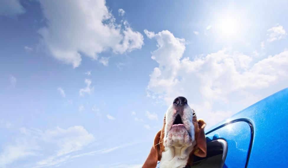 Slunečno a teploty přes 20 stupňů. Sledujte víkendovou předpověď počasí