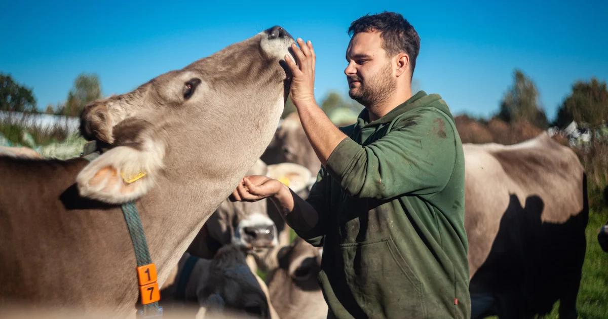Udržitelnost dává smysl, říká jihočeský farmář. Dodává sýry na nejlepší smažák v Praze