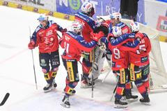 hráči HC Dynamo Pardubice, hokejisté, sportovci, radost