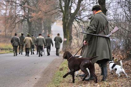 Myslivci, ilustrační foto