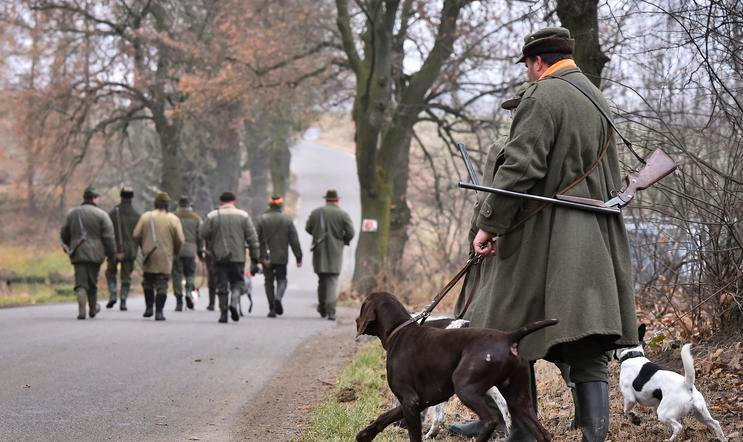 Myslivci, ilustrační foto