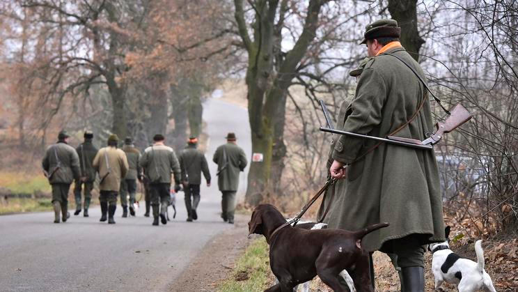 Myslivci, ilustrační foto