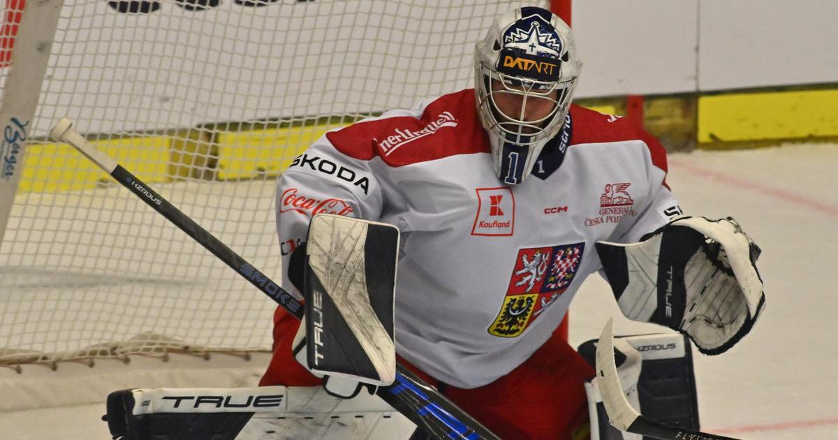 Debutant Brízgala pomohl i napodruhé porazit v přípravě Němce