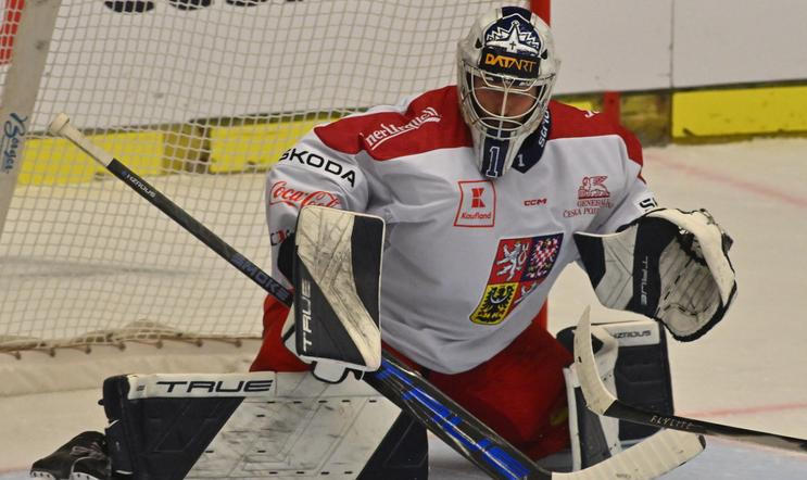 brankář Adam Brízgala, Elis Hede