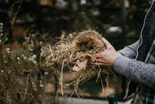 Nejvíc ho vždycky fascinovali ptáci, hlavně dravci a sovy. 