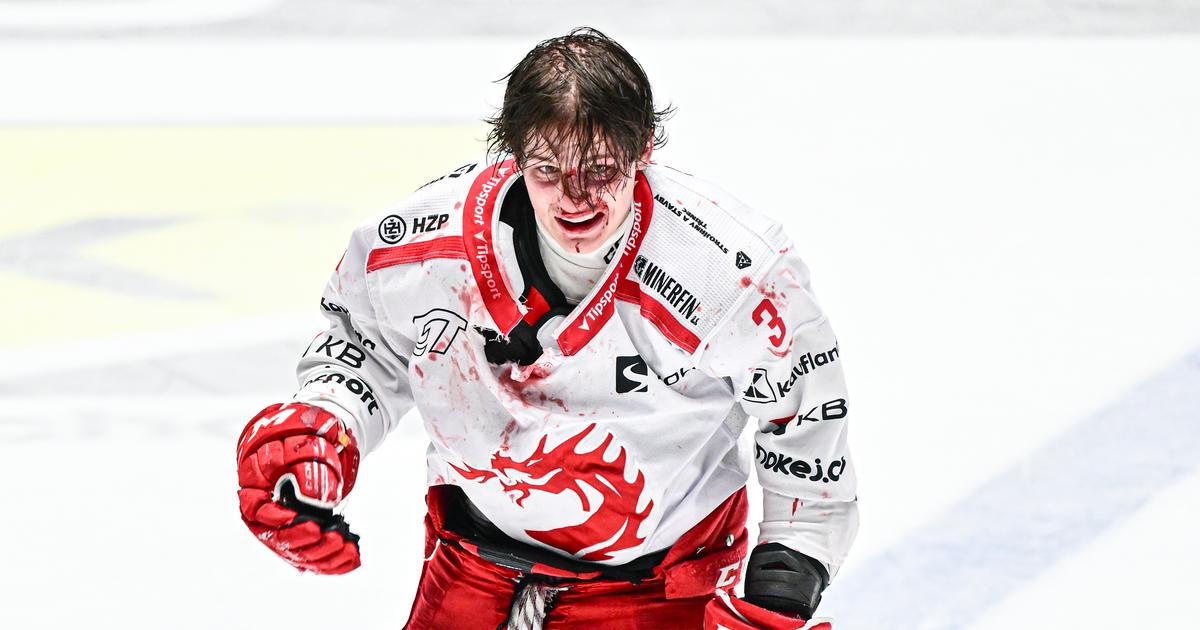 „Třinec se nechává zesměšnit. Na co toho hráče mají?" Expert řeší dohru krvavé bitky